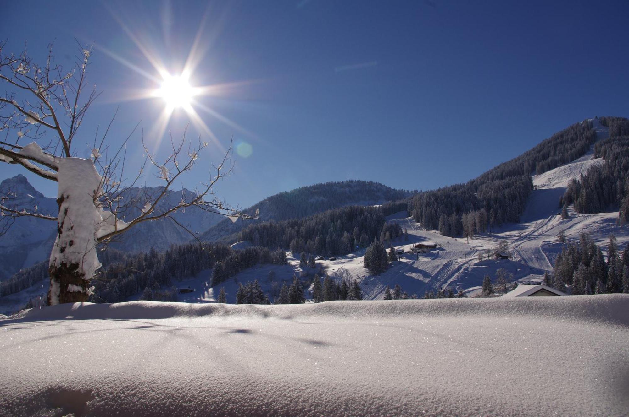 Hotel Burtschahof Bürserberg Екстериор снимка